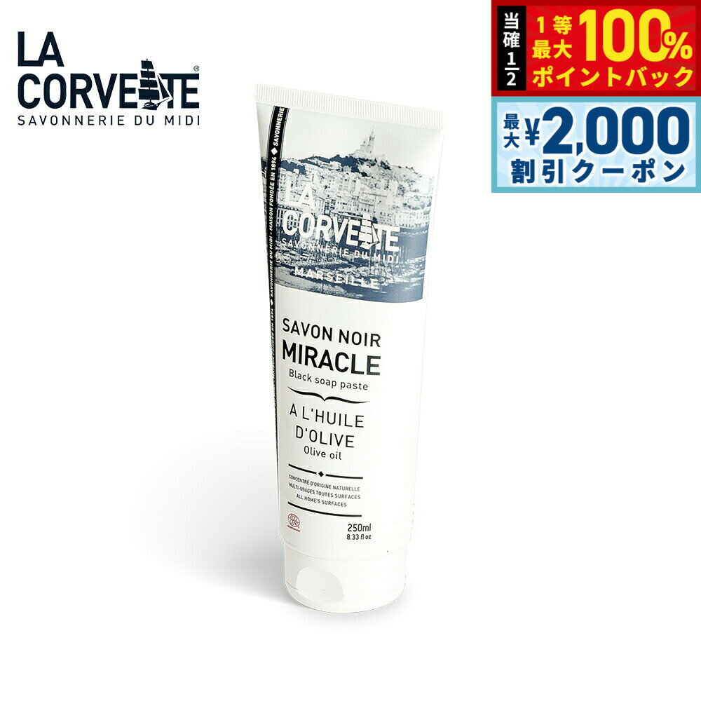 【4/15はWイベント！最大2000円OFFクーポン＆抽選で最大10000ptバック】LA CORVETTE ラ コルベット サボン ノワール ミラクル ペースト 250ml
