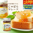 【2000円OFFクーポン!&店内ポイント最大55倍!本日限定!】じゃばら生活 じゃばら果皮入りマーマレード 140g ジャム トッピング ナリルチン 邪払 無...