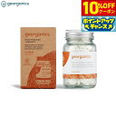 【10%OFFクーポン!&店内ポイント最大43倍!6月18日!】geo...(4)