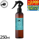 【2000円OFFクーポン!&店内ポイント最大53倍!本日限定!】PERFECT POTION バズオフルームスプレー ハッカ 250ml