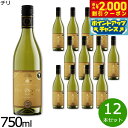 【2000円OFFクーポン!&店内ポイント最大54倍!本日限定!】フォルトゥナート スペリウール シャルドネ チリ産 辛口 白ワイン 金賞 メダル 750ml×12本【送料無料】