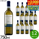 【2000円OFFクーポン!&店内ポイント最大54倍!本日限定!】コッレ デ チプレッシソアヴェ DOC 750ml×12本