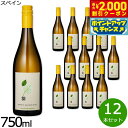 【2000円OFFクーポン!&店内ポイント最大54倍!本日限定!】自然派ワイン シー オーガニック マカベオ=ソーヴィニヨン ブラン スペイン産 辛口 白ワイン スペインワイン 有機栽培 ビオワイン 1ケース(12本セット)