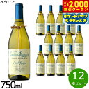 【2000円OFFクーポン!&店内ポイント最大54倍!本日限定!】ピノグリージョ テッレ ディ キエティ イタリア産 辛口 白ワイン イタリアワイン 白 イタリア 750ml×12本【送料無料】
