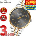 【2000円OFFクーポン!&店内ポイント最大54倍!本日限定!】【60回分割手数料無料!】マイスタージンガー MeisterSinger ヤアラ アンスラサイ...