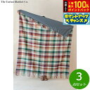 【7/15限定!2人に1人最大100%ポイントバック!要エントリー】The Tartan Blanket Co. ピクニックブランケット フォレストヘリンボーン...