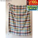 【本日限定!エントリーで最大5000P&抽選で100%ポイントバック】The Tartan Blanket Co. フルブランケット レインボーヘリンボーンチェック【送料無料】