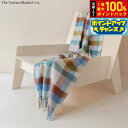 【本日限定!エントリーで最大5000P&抽選で100%ポイントバック】The Tartan Blanket Co. ニーブランケット レインボーヘリンボーンチェック【送料無料】