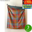 【本日限定!エントリーで最大5000P&抽選で100%ポイントバック】The Tartan Blanket Co. ピクニックブランケット ブキャナンアンティー...