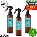 【29日10時〜エントリーで最大5000P&店内ポイント最大47倍!】PERFECT POTION バズオフルームスプレー ハッカ 250ml×3点