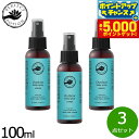 【29日10時〜エントリーで最大5000P&店内ポイント最大47倍!】PERFECT POTION アウトドアボディスプレー ハッカ 100ml×3点