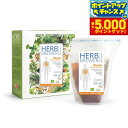 【29日10時~エントリーで最大5000P&店内ポイント最大47倍!】HERB BREWER ビューティー 7個パック 5g×7個