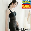 【本日限定!エントリーで最大5000P&店内ポイント最大48倍!】【人気No.1】 テラビューティー ベリーバンド L-LL 【送料無料】 腹巻 お腹の冷え 腸...