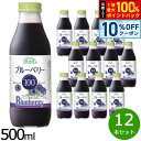 【8/1限定!10%OFFクーポン&抽選で100%ポイントバック】順造選 ブルーベリー100 500ml×12本セット ジュース ストレート 果汁100% 無添加 無香料 無加糖 砂糖不使用 瓶 日本製 果肉入り 【送料無料】