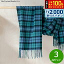 【8/5限定!抽選で最大10000ptバック&2000円OFFクーポン】The Tartan Blanket Co. オーバーサイズスカーフ キャンベルオブアー...