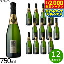 【2000円OFFクーポン!&店内ポイント最大55倍!本日限定!】カヴァ ムッサ ブリュット ナチューレ スペイン産 辛口 スパークリングワイン 白ワイン スペ...