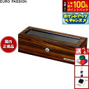 【8/18限定!抽選で最大10000ptバック】ユーロパッション EURO PASSION ウォッチコレクションボックス 5本収納 FW-556EB