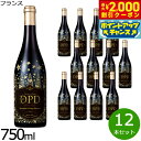 【2000円OFFクーポン!&店内ポイント最大54倍!本日限定!】ボージョレー・ヴィラージュ・ヌーヴォー DPD 2025 ヴィエイユ・ヴィーニュ キュベ・デ・トロワ・メートル 最高金賞の匠コラボヌーヴォー フランス産 赤ワイン 金賞 750ml×12本