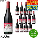 【2000円OFFクーポン!&店内ポイント最大54倍!本日限定!】ボージョレー・ヴィラージュ・ヌーヴォー ドメーヌ・ドリー 2025 フランス産 赤ワイン 金賞 750ml×12本