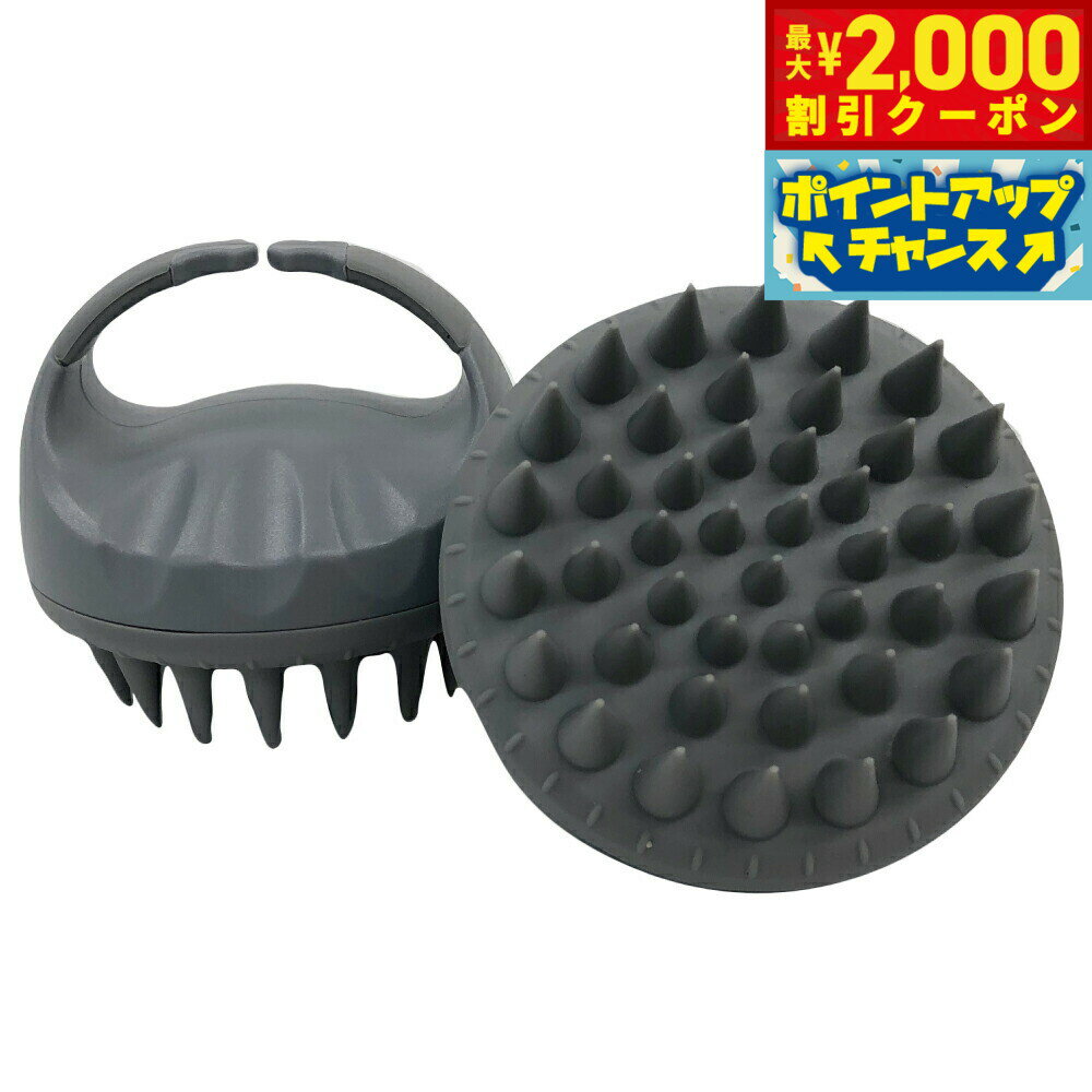 【2000円OFFクーポン！＆店内ポイント最大55倍！本日限定！】テラビューティー テラスカルプブラシ【送..