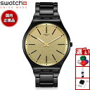 swatch スウォッチ HOLIDAY COLLECTION DASHING SLATE SS07B109G 腕時計 メンズ レディース