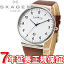 スカーゲン SKAGEN 腕時計 メンズ SKW6082