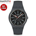 swatch スウォッチ 腕時計 メンズ レディース オリジナルズ ORIGINALS COBLESTONE STREET SO29A101