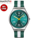 swatch スウォッチ 腕時計 メンズ スキン SKIN CASUAL STRIPE SS07S149【2025 新作】