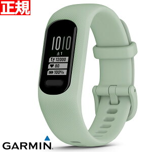 ガーミン GARMIN vivosmart 5 ヴィヴォスマート5 GPS スマートウォッチ ライフログ アクティビティトラッカー 腕時計 メンズ レディース Mint S/M 010-02645-62【2022 新作】
