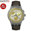 swatch XEHb` HOLIDAY COLLECTION GOLDEN RADIANCE SUSM100 rv Y NmOt