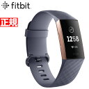 【今だけ!店内ポイント最大53倍!11日1時59分まで】Fi...