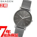 スカーゲン 腕時計（メンズ） 【店内ポイント最大43倍！4月28日！】スカーゲン SKAGEN 腕時計 メンズ シグネチャー SIGNATUR SKW6577