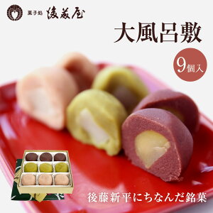 菓子処 後藤屋 大風呂敷 （ 9個 入 ） 岩手 銘菓 定番 お歳暮 お年賀 ギフト プチギフト ご当地 贈り物 菓子 こしあん 抹茶あん 胡桃あん 餅 栗 伝統菓子 和菓子 スイーツ お菓子 帰省 お土産 手土産 お供え お供え物 お茶菓子 実家 挨拶 内祝い プレゼント ご贈答 送料無料