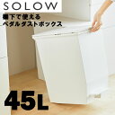 【レビュー特典あり】[ SOLOW( ソロウ）ペダルオープンツイン 45L ] リス ゴミ箱 45リットル 分別 ふた付き キッチン 洗面所 両開き ペダル式 北欧 省スペース 大容量 キャスター付き 45L