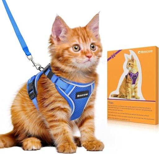 猫 猫用 ハーネス リード 抜けない 専用 猫牽引ロープ リード猫具 調整可能 簡単装...