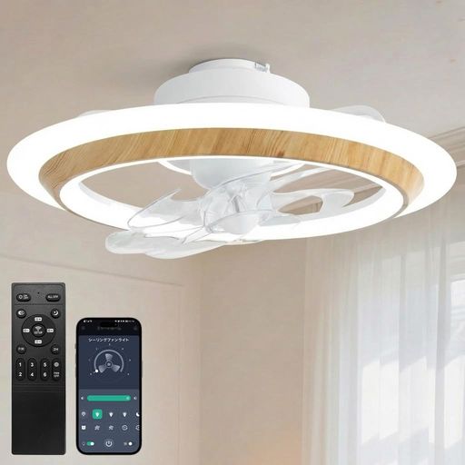 SUKITEN シーリングファンライト LED 導光板 正逆回転 首振り機能 6~8畳 Φ56cm フ...