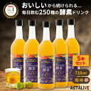 【GW 母の日 ポイント SALE P20倍】 【5本SET】 シールド乳酸菌® 入り 酵素 ドリンク ASTALIVE アスタライブ 酵素ドリンク ...