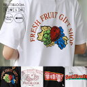 【売り切り特別価格/返品交換不可】 FRUIT OF THE LOOM プリントTシャツ Tシャツ 半袖 メンズ レディース ユニセックス 男女兼用 夏 秋 春 半そで 綿100 コットン ブランド 高身長 トールサイズ 大きいサイズ ロゴt カットソー 大人サイズ おしゃれ ギフト プレゼント