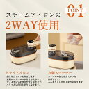 アイロン ハンディ スチームアイロン 衣類スチーマー 2WAY 軽量 恒温 ハンディアイロン シワ伸ばし 除菌 除臭