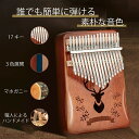 カリンバ カリンバ楽器 初心者 サムピアノ セット 専用ケース 民族 楽器 親指ピアノ 17キー マホガニー ローズ プレゼント ギフト キャンプ
