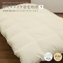 カスタメイク羽毛布団冬用新2層立体キルトポーランド産ホワイトグースダウン93%ロイヤルゴールドラベル認証 400dp(約730fp)#80サテン超長綿クイーン 210×210cmあたたかい 冬用 羽毛布団 日本製