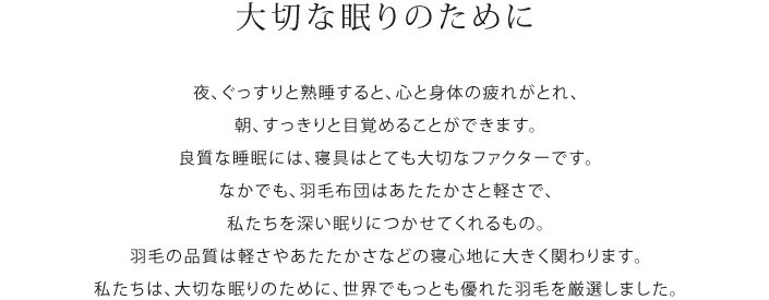 [オズゴ] 冬用1層立体キルト羽毛布団ポーラン...の紹介画像3