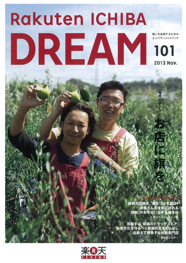 ��ŷ�Ծ�DREAM 11���