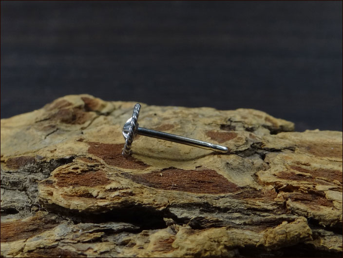 Dear Blossom�ʥǥ����֥��å���ˡ������դ����ݥ��ݥ���ȥԥ�����(P-001)�ڥ���ǥ����󥸥奨�꡼ ����С��ԥ��� ���ݥ�������� ��� �֥��� �ץ쥼��ȡ�