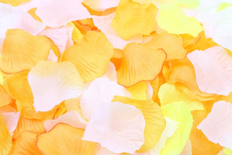Rakuten - XPデザイン フラワーシャワー 結婚式ブーケ 造花 花びら 花びらのみ サプライズ フラワーペタル 1200枚
