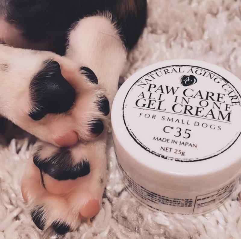 [aliel&co] ペット用 肉球ケア パウケアオールインワンジェルクリーム 25g クリーム ジェル 犬 猫 人気 無香料 無着色 日本製