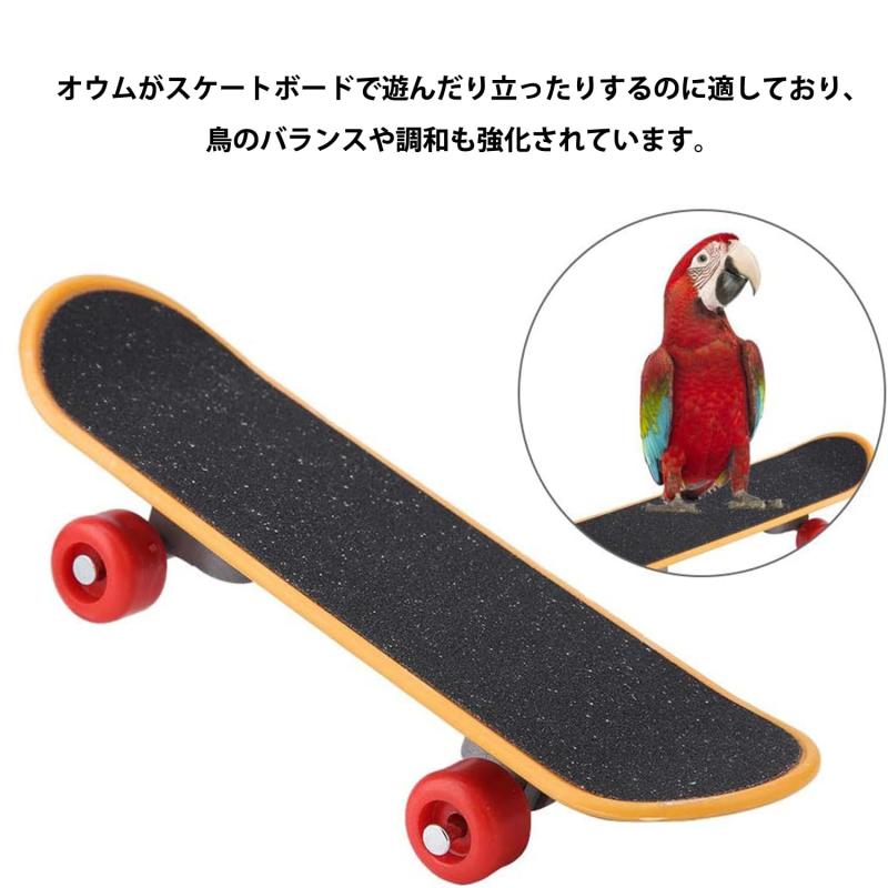 アスターショップのRoczential 11個セット セキセイインコ おもちゃ、ミニマンチボール 直径3cm 無着色 ナチュラルカラー 鳥 おもちゃ インコ おもちゃ セキセイインコ オカメインコ かじり木 ペット用 ハムスター｜アングル2