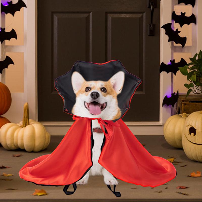 ペット服 マント 女の子 男の子 クリスマス ハロウィン 魔法使い 衣装 コスプレ コスチューム ケープ ショール 犬 猫 ペット用品 オールシーズン・素材: ポリエステル・カテゴリ: 変身服、ペット服・スタイル: トレンド・性別: ユニセックス・カラー: レッド・サイズ: フリーサイズ