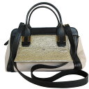 クロエ Chloe ハンドバッグ ショルダーバッグ レザー ピンクベージュ/ブラック/ゴールド ゴールド レディース 送料無料【中古】 s0386j