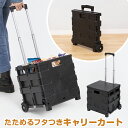折りたたみ キャリーカート ふた付き ブラック 約幅38×奥行33×高さ85cm 耐荷重約25kg コンテナキャリー 買い物カート ショッピングカート アウトドア レジャー 買い出し 公園 530-22(4)